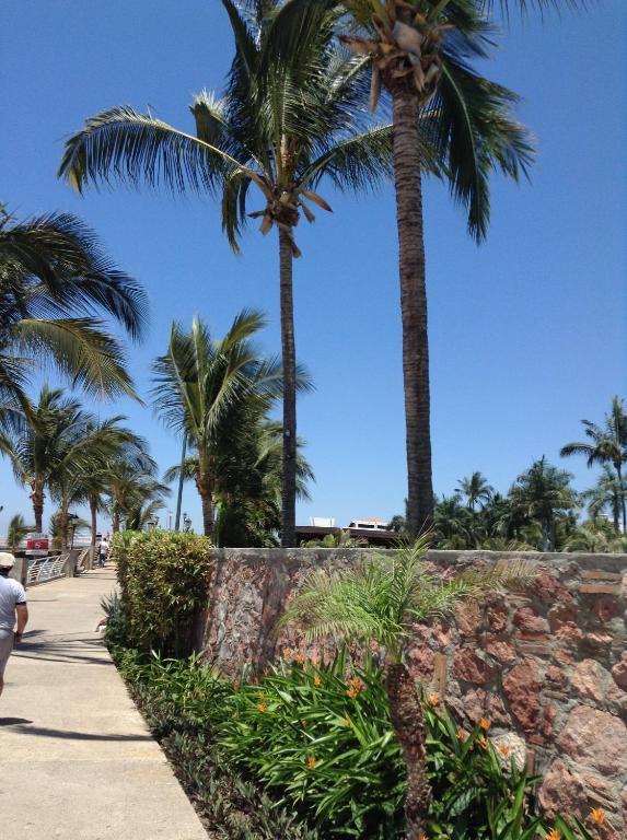 Molino De Agua Hotell Puerto Vallarta Eksteriør bilde